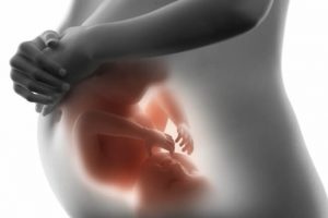 Find Out What Your Baby Is Doing Inside The Womb
