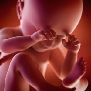 Quickening: The First Movements Your Baby Makes