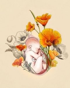 I've Loved You Since Your First Heartbeat