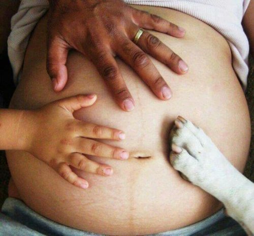 why having a dog during pregnancy can be so beneficial