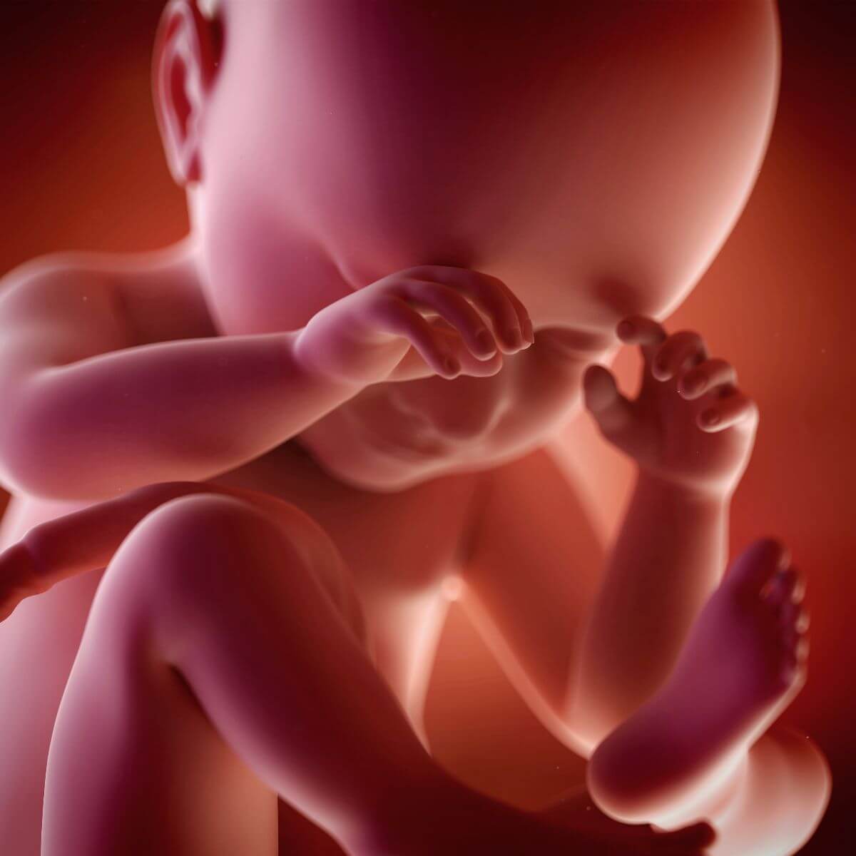 what your baby feels inside your womb