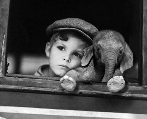 black and white photo of child with an elephant