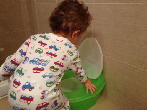 potty train your child.