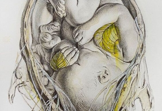 drawing of baby in the womb