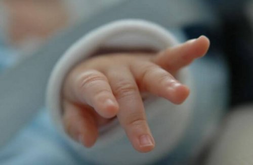 a baby's little fingers
