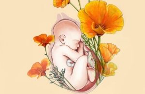 You Are Your Baby's Home
