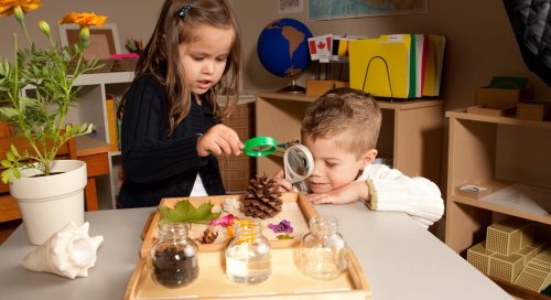 Strategies for applying the Montessori method at home