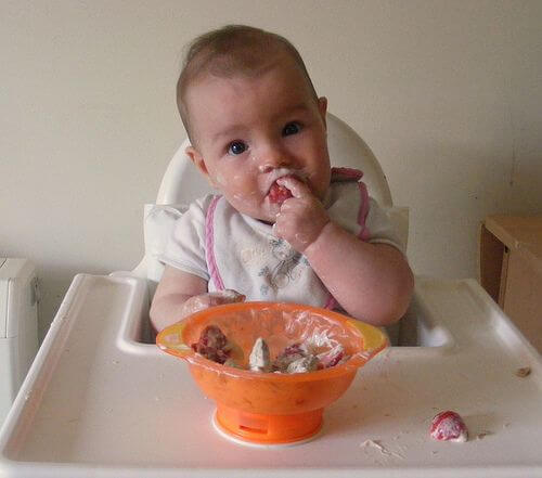 Suggestions for Complementary Feeding