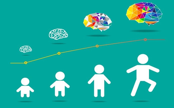 child brain development