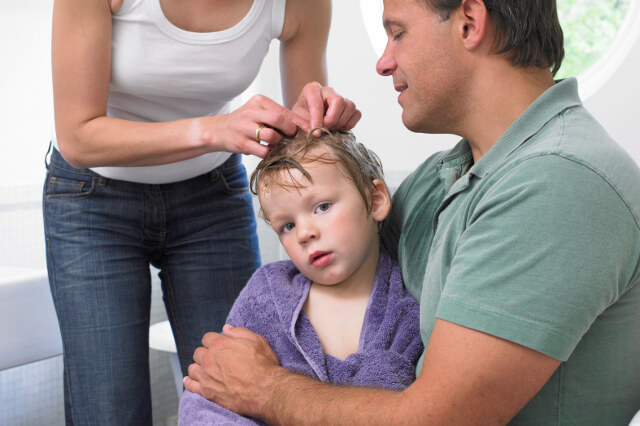 7 Tips for Preventing and Dealing with Lice