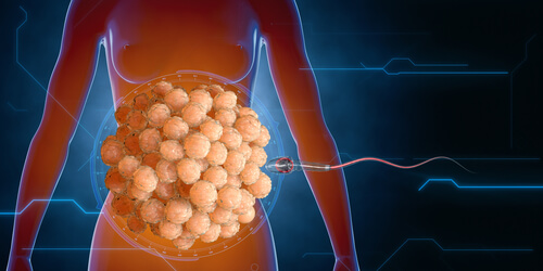 Sperm's Fight for Survival