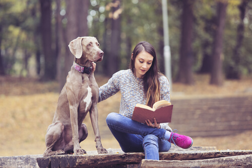 kvinde der læser udenfor for en hund
