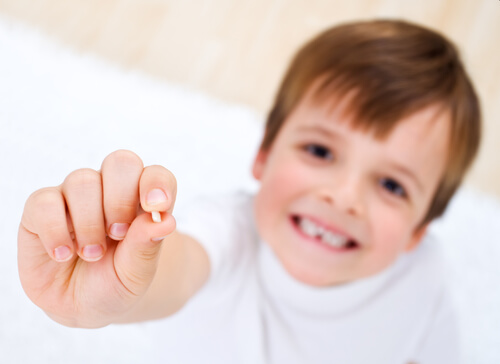 What You Should Know about Losing Baby Teeth