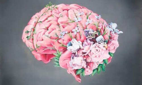 How a Mother's Brain Changes during Pregnancy