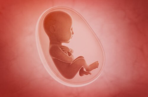 Lack of Amniotic Fluid during Pregnancy