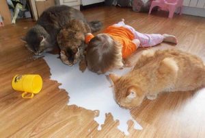 12 Situations that Only Moms Understand