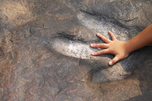 Why Do Children Love Dinosaurs?