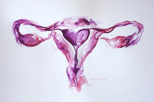 The Female Reproductive System: How It Works