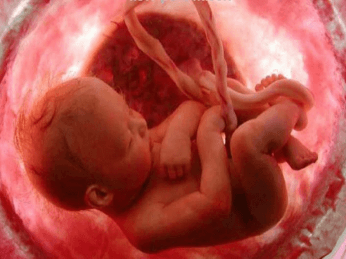 foster der ligger i livmoder