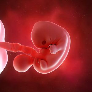 Week 7 of Your Pregnancy