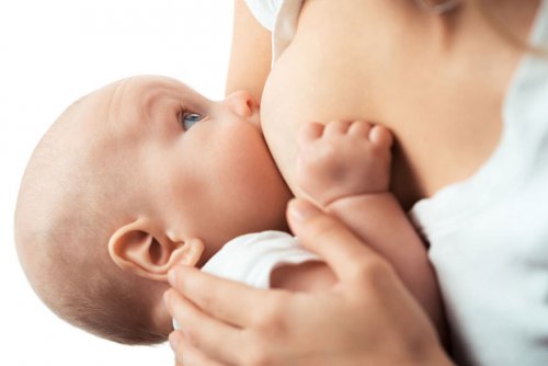 Types of Nipples and Their Influence on Breastfeeding