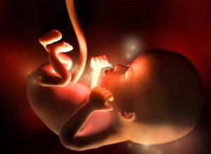 The 12th Week of Pregnancy