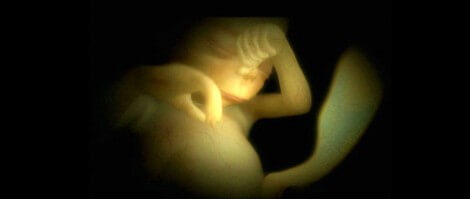 The 24th Week of Pregnancy