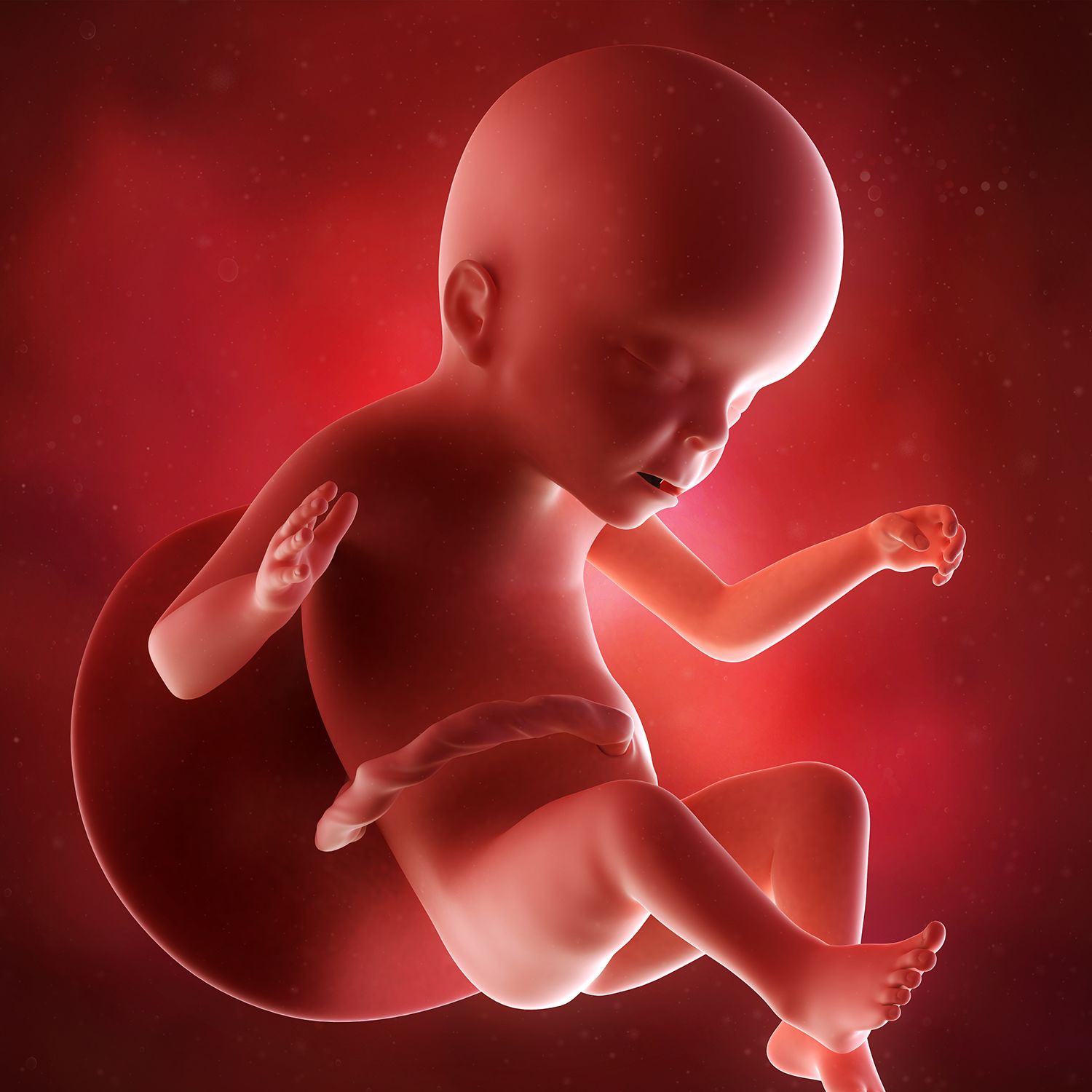 Baby in 23rd week of pregnancy