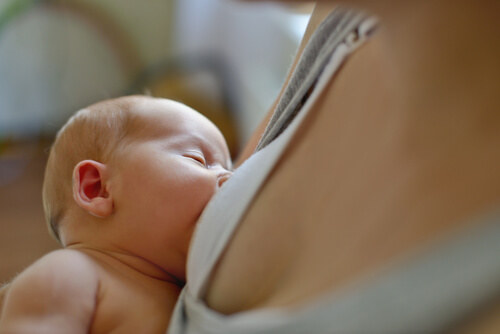 4 Types of Milk for Babies
