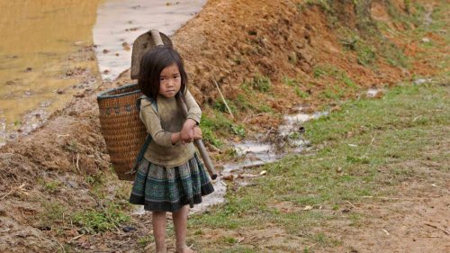 How Much Do You Really Know About Children's Rights?