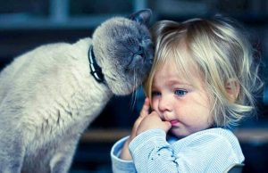 Best Pets for Kids