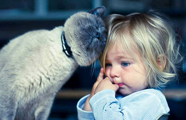 Best Pets for Kids
