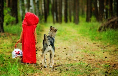 5 Teachings From Little Red Riding Hood You Are Mom