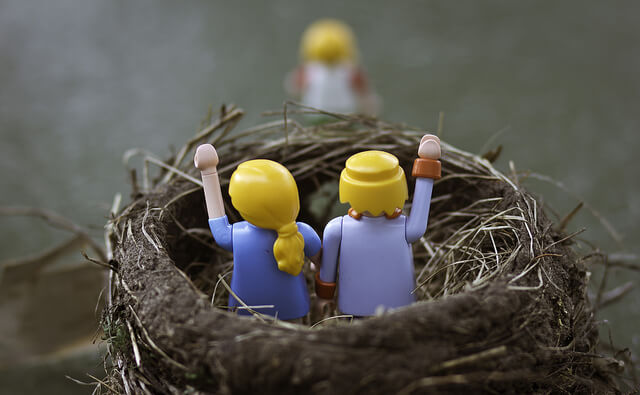 Empty Nest Syndrome