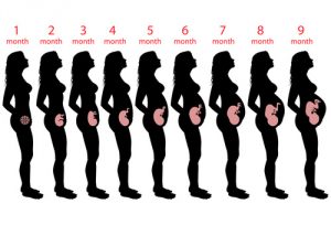 What to Expect During Week 9 of Your Pregnancy