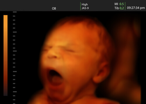 The 22nd Week of Pregnancy