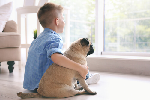 How Therapy Animals Can Help Children