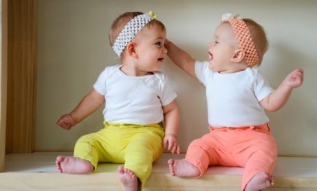 What Determines a Baby's Sex?