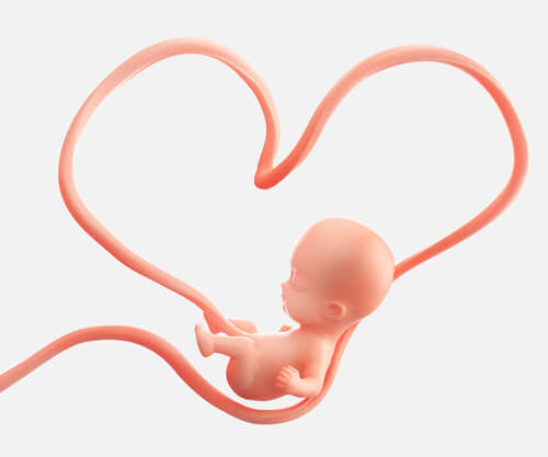 Umbilical Cord Problems: Facts to Consider