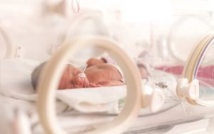 The Incubator: What Is It and How Does It Work?