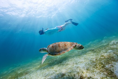 All The Benefits of Scuba Diving for Children