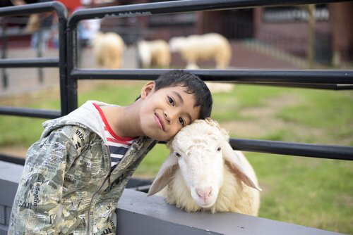 Boy on a farm with a goat