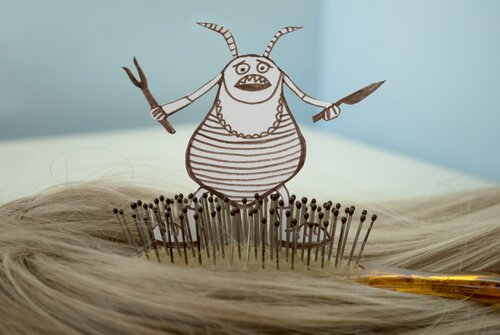 How to Prevent Lice at School