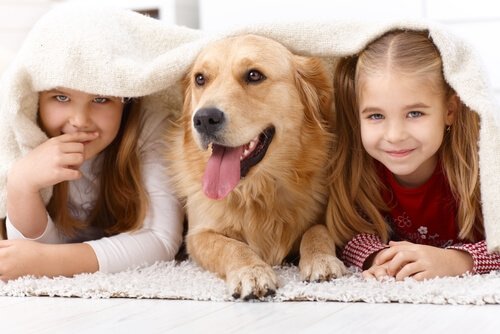 Pets: Why Are Children so Attracted to Animals?
