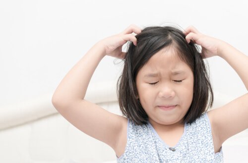 How to Prevent Lice at School