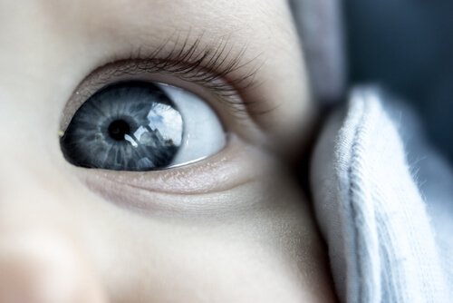 What Determines a Babies' Eye Color?
