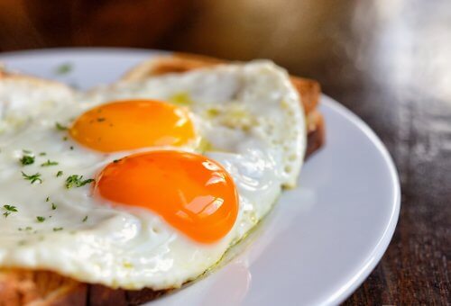 Protein-Rich Recipes for The First Trimester of Pregnancy