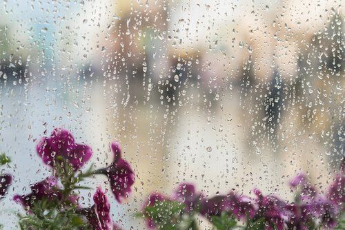 5 Games to Play on Rainy Days