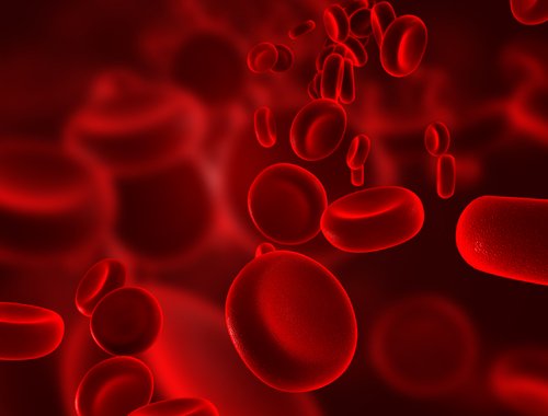 What Does My Child's Blood Type Depend On?