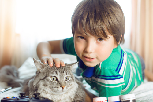 Out of all therapy animals, this boy chose a cat.
